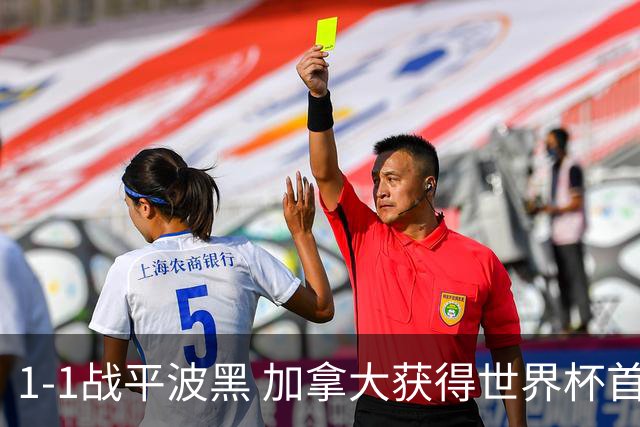 1-1战平波黑 加拿大获得世界杯首个积分